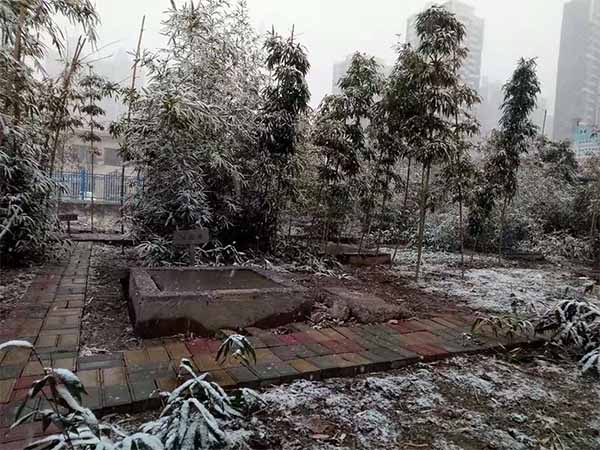 洛阳仁大医院污水处理项目展示