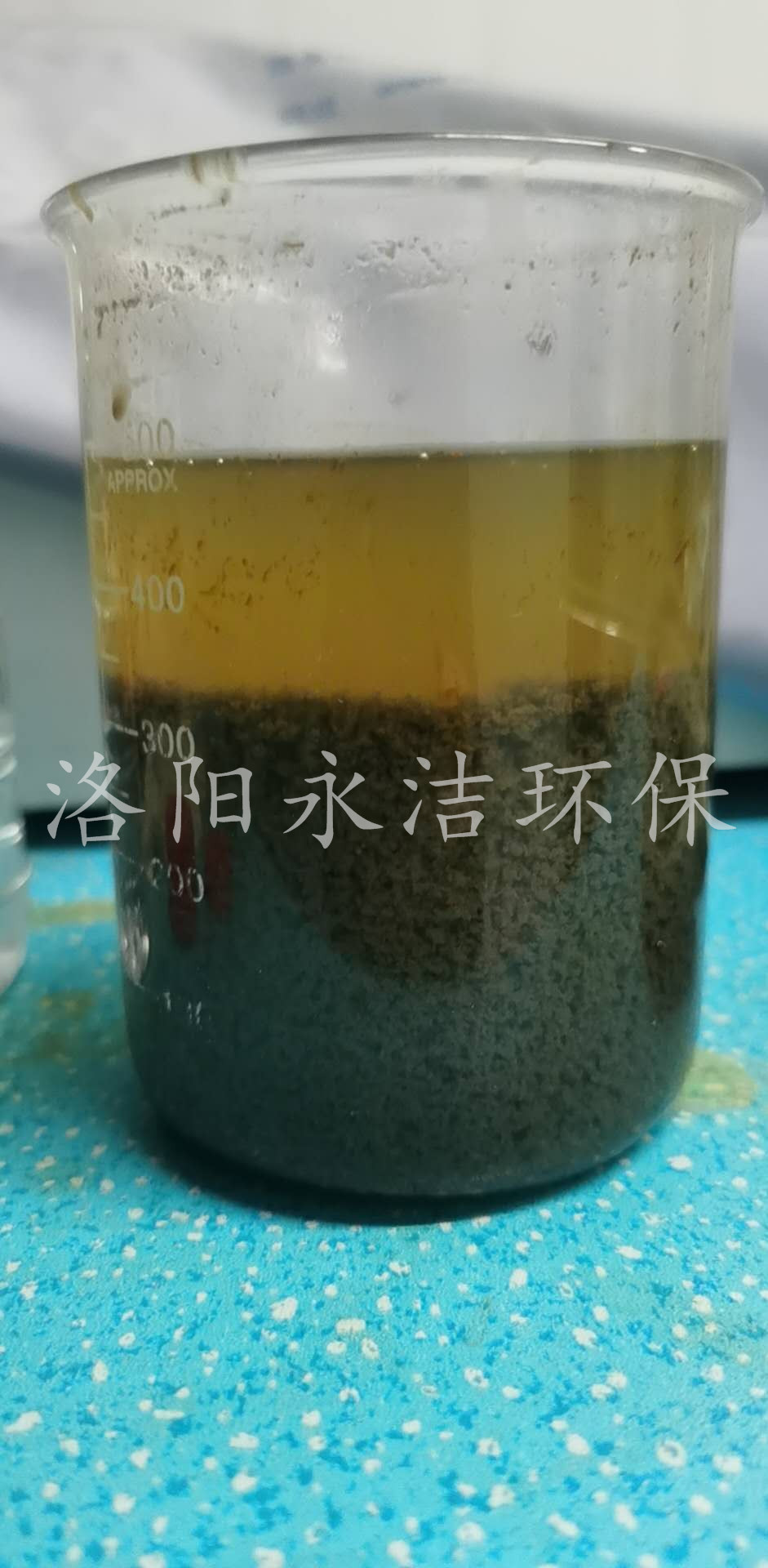 实验展示